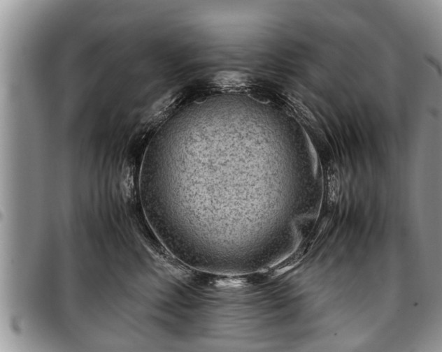 X0000097500618200802291559