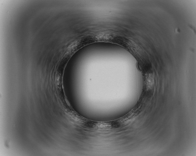 X0000097500619200802291559
