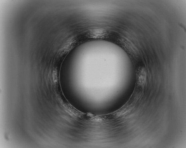 X0000097500620200802291559