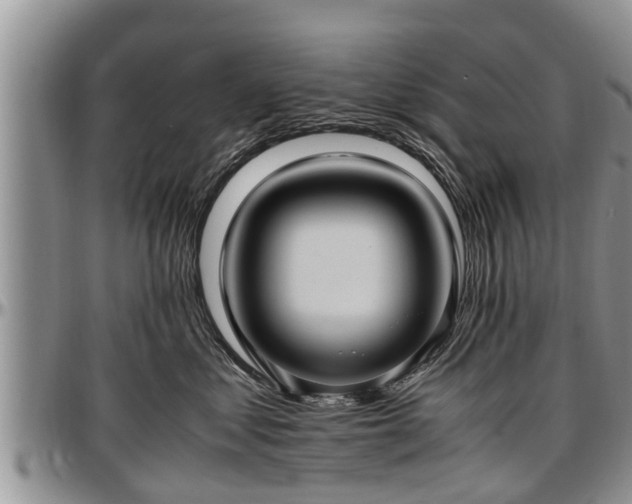 X0000097500621200802291559