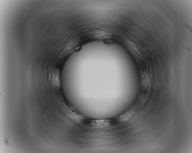 X0000097500622200802291559
