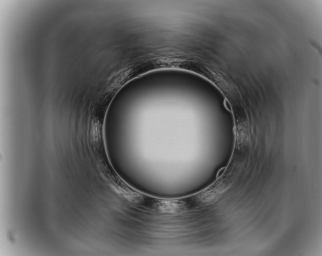X0000097500623200802291559
