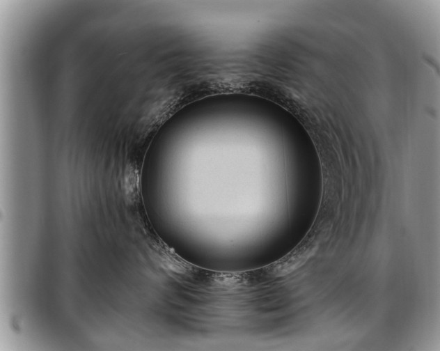 X0000097500624200802291559