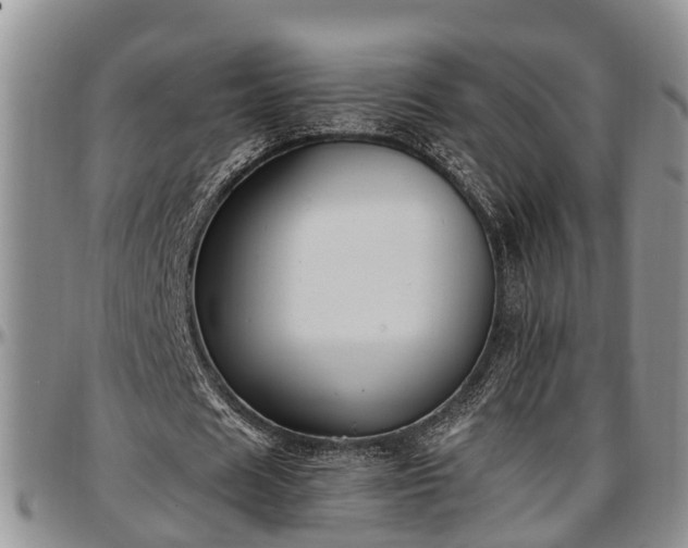 X0000097500625200802291558