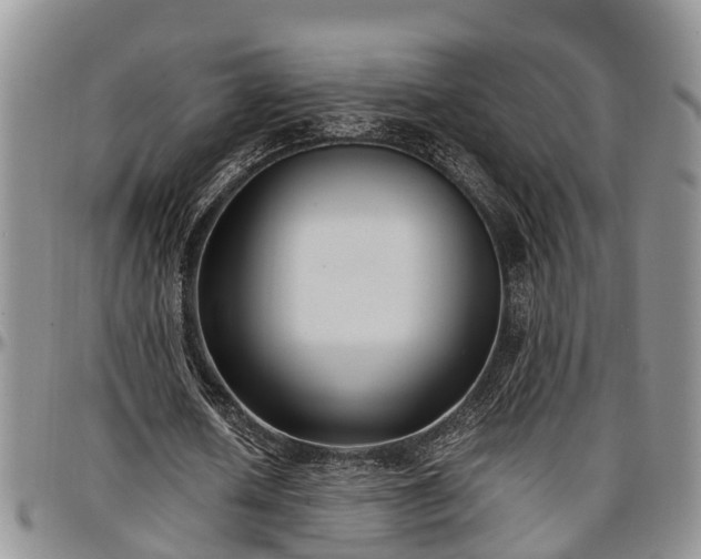 X0000097500626200802291558