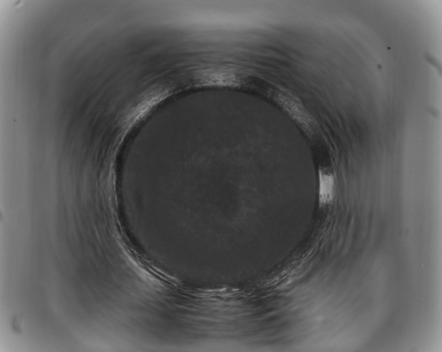 X0000097500627200802291558