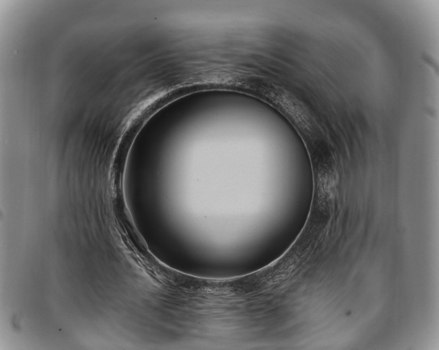 X0000097500628200802291558