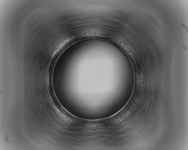 X0000097500629200802291559