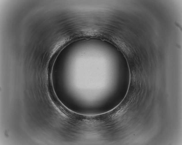 X0000097500630200802291559