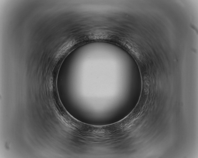 X0000097500631200802291559