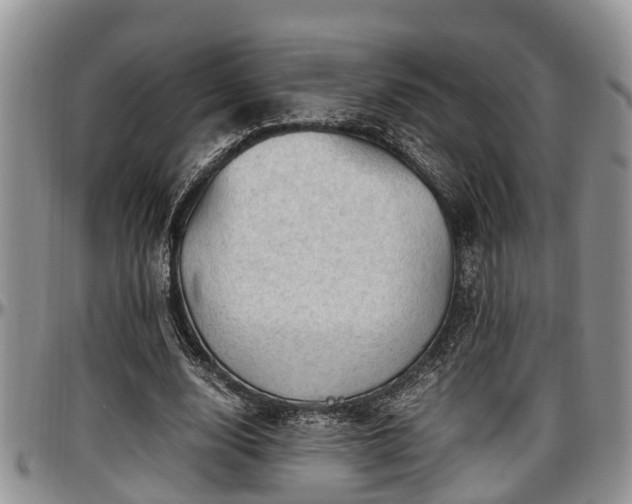 X0000097500632200802291559