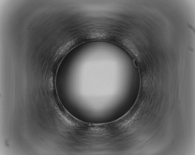 X0000097500633200802291559