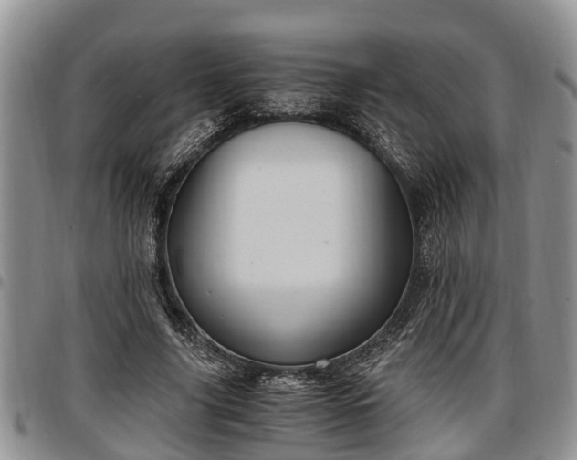 X0000097500635200802291559