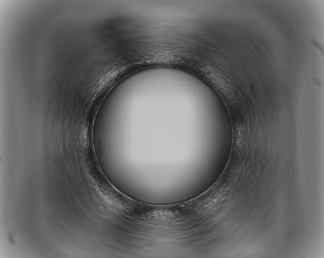 X0000097500636200802291559