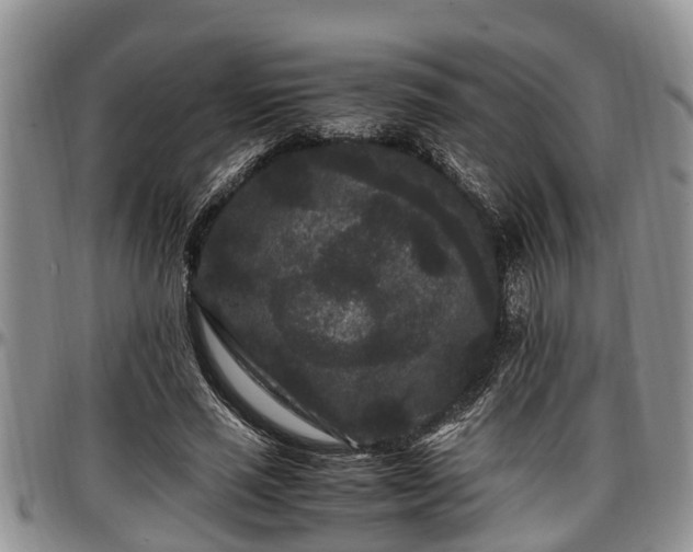 X0000097500637200802291559