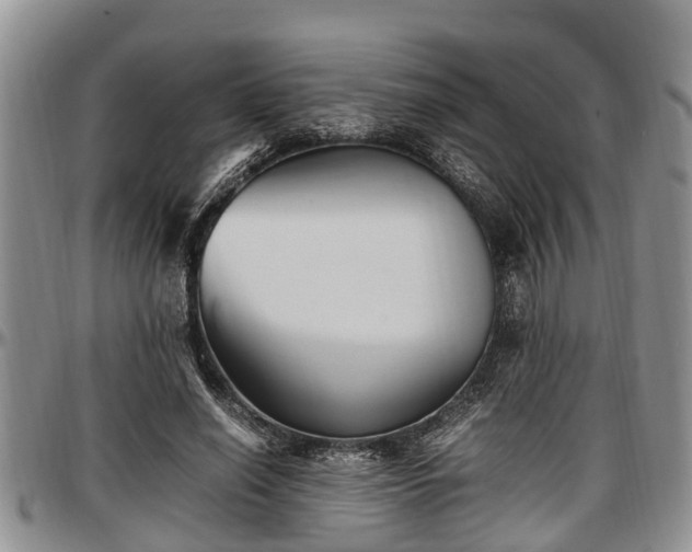 X0000097500638200802291559