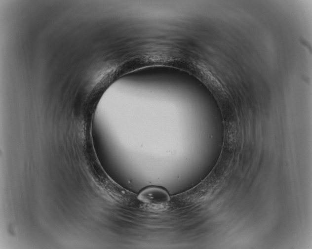 X0000097500639200802291559