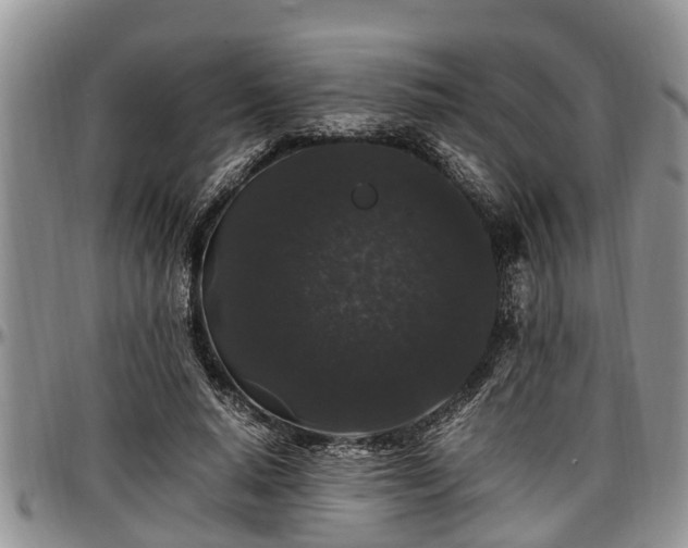 X0000097500640200802291559