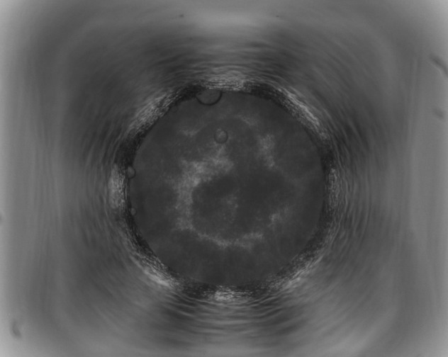X0000097500641200802291559