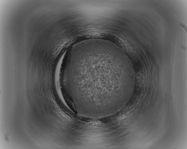 X0000097500642200802291559