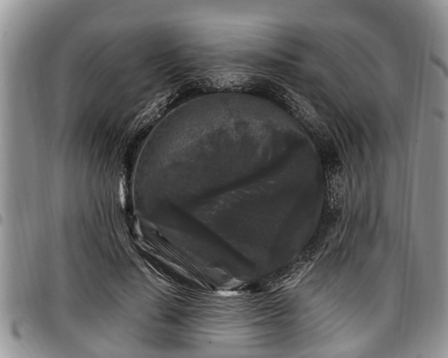 X0000097500644200802291559