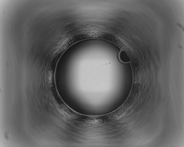 X0000097500646200802291559