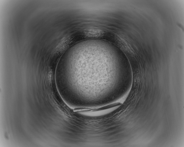 X0000097500647200802291559