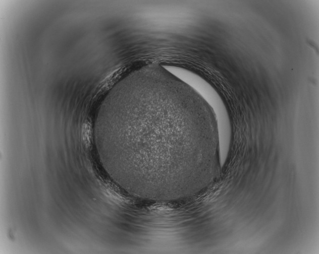 X0000097500648200802291559