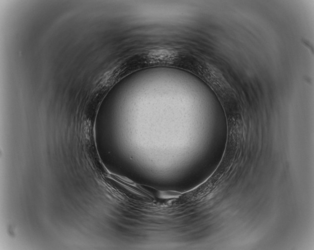 X0000097500649200802291559