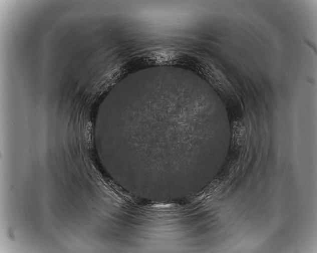 X0000097500650200802291559
