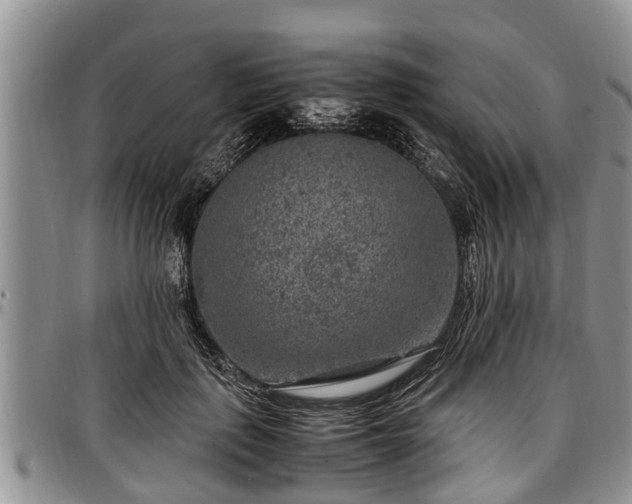 X0000097500651200802291559