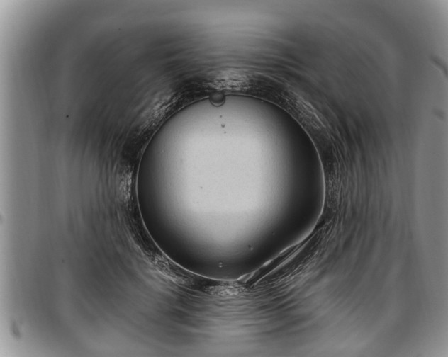 X0000097500652200802291559