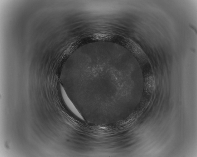 X0000097500653200802291559