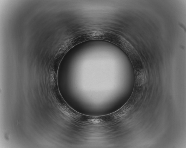 X0000097500654200802291559