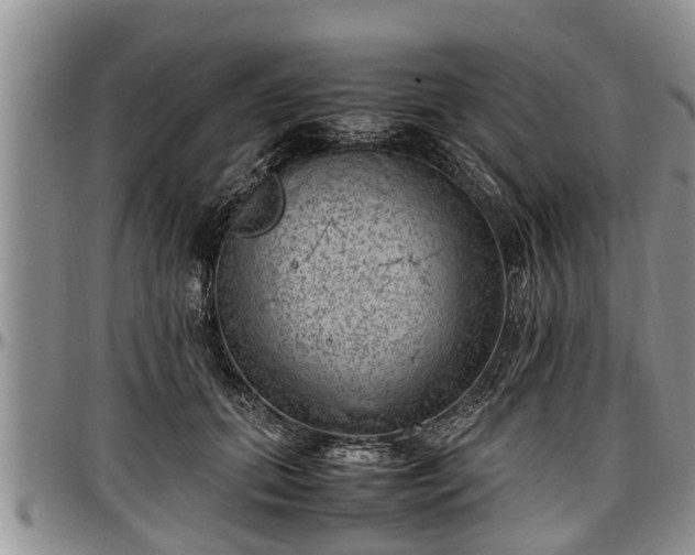 X0000097500655200802291559