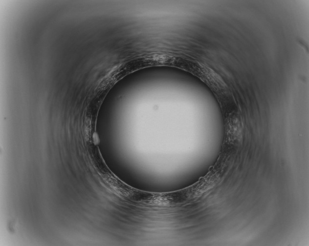 X0000097500656200802291559