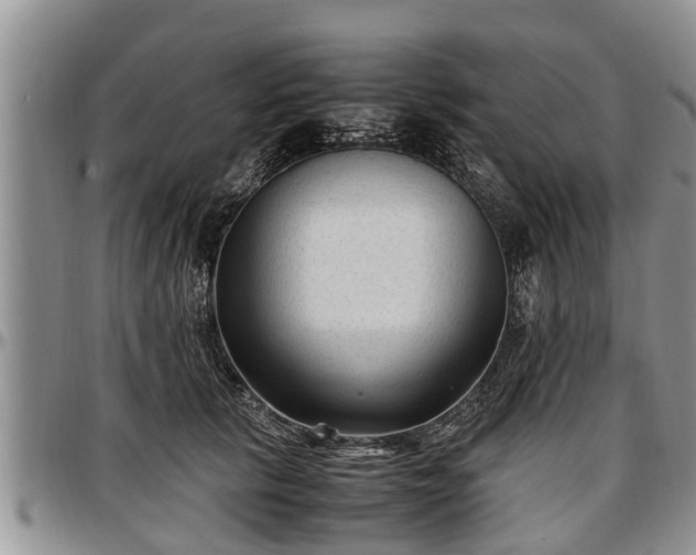 X0000097500657200802291559