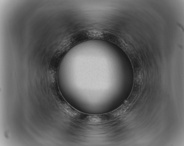 X0000097500658200802291559