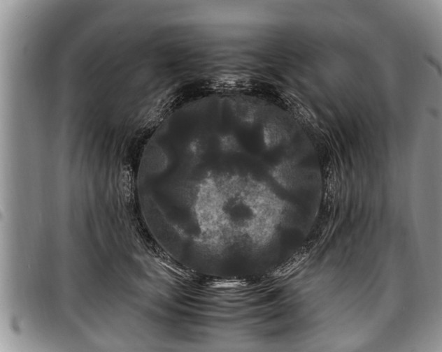 X0000097500659200802291559