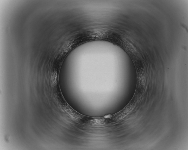 X0000097500660200802291559