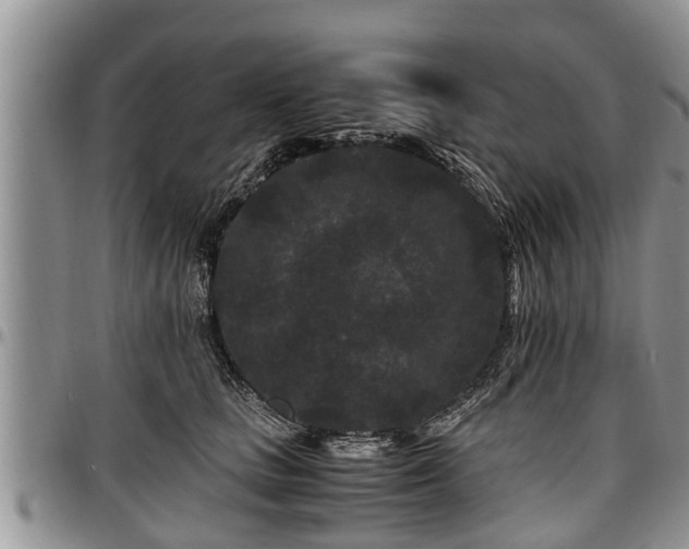 X0000097500661200802291559