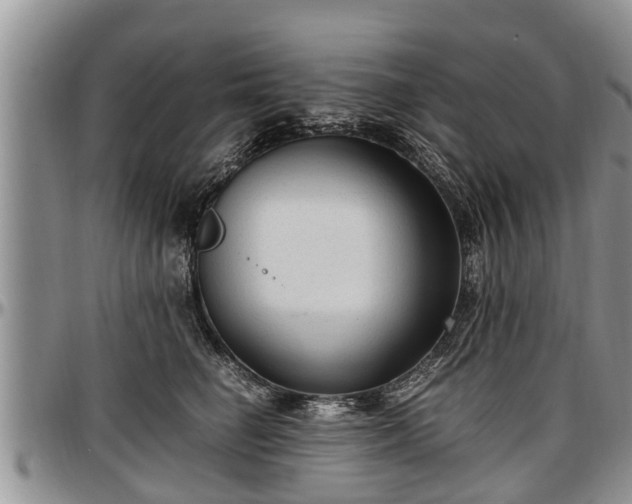 X0000097500662200802291559