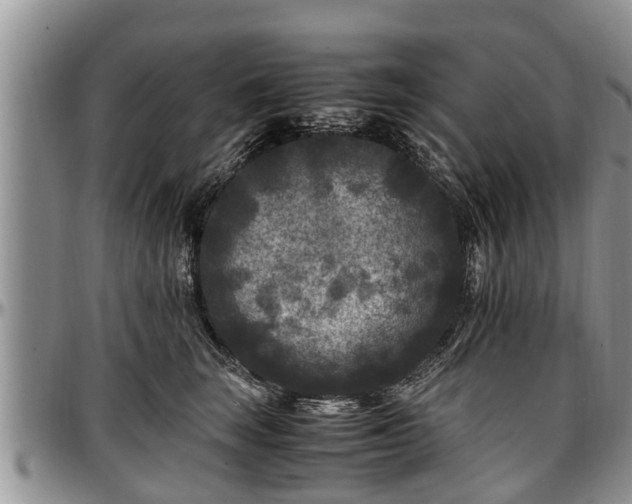X0000097500663200802291559