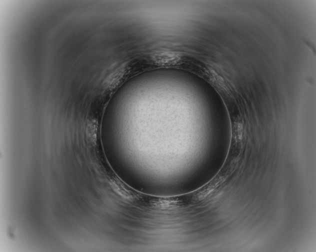 X0000097500664200802291559