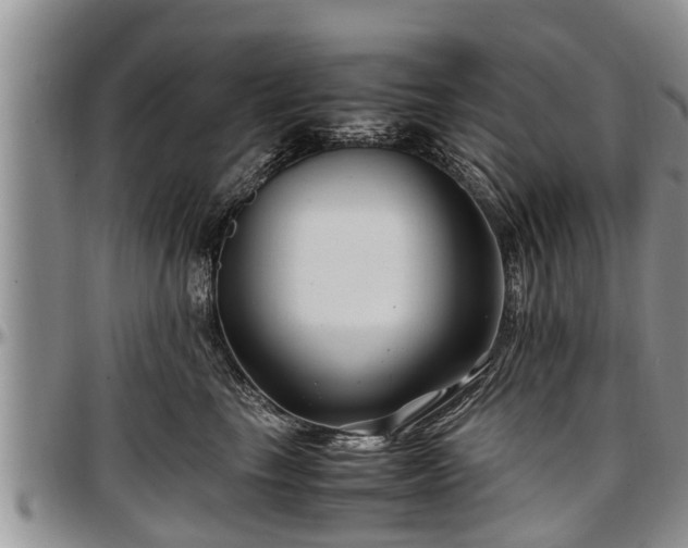 X0000097500665200802291559