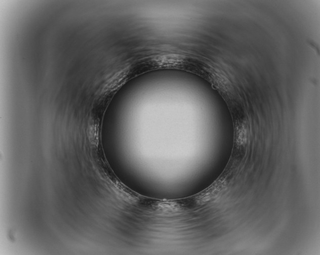 X0000097500666200802291559