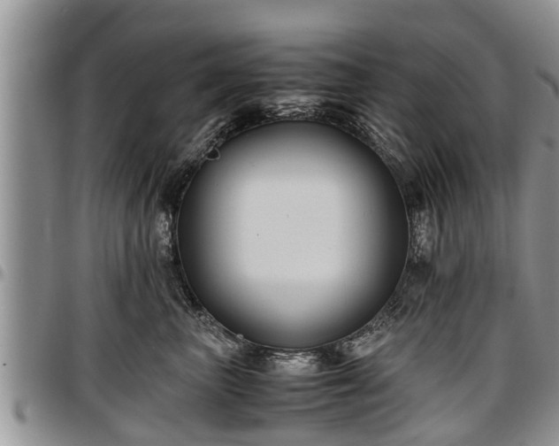X0000097500667200802291559