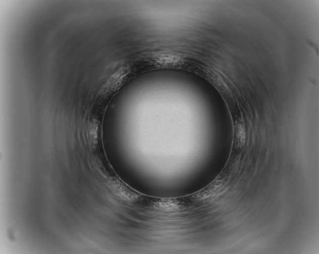 X0000097500668200802291559