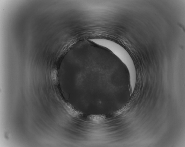 X0000097500670200802291559