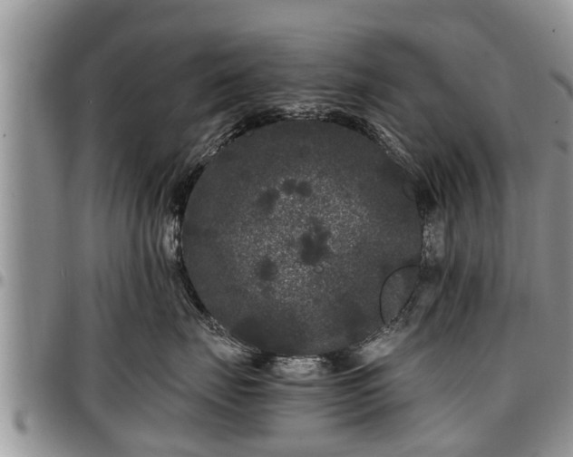 X0000097500671200802291559